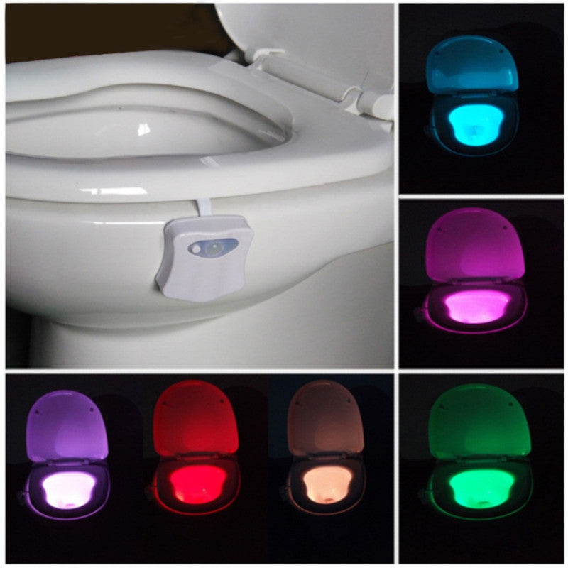 Motion Activated LED Night Light for Toilet Seat
